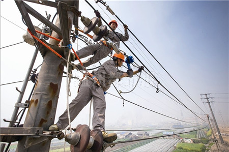 “掌上电力”申报一天装表 24亿助力城农网改造升级-新闻中心-温州网